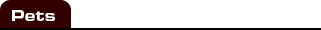 Pets