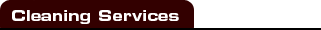 Cleaning Services